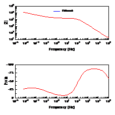 精品久久久久久无码人妻