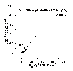 精品久久久久久无码人妻