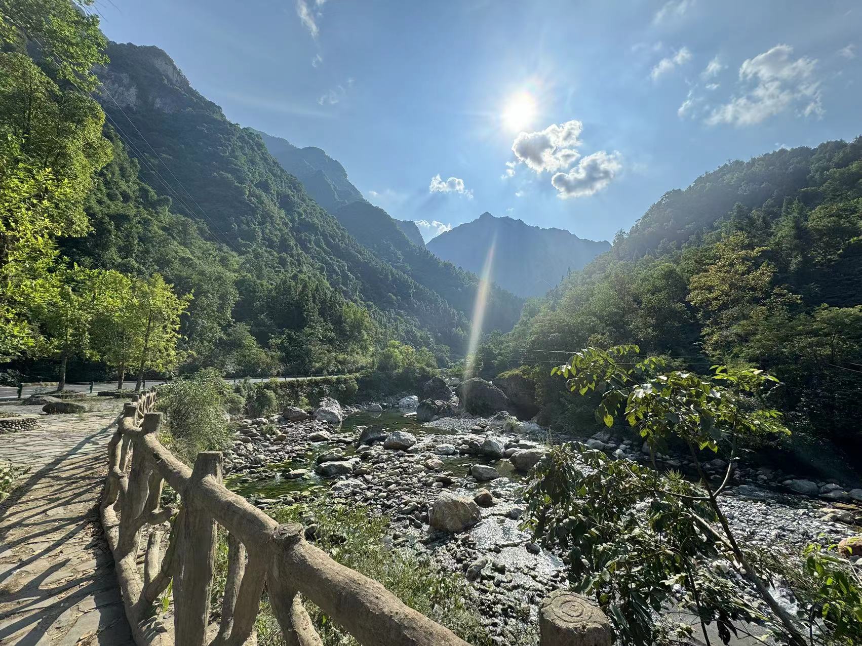 精品久久久久久无码人妻